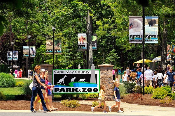 cape-may-zoo